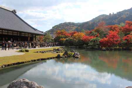 天龍寺庭園