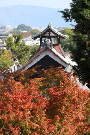 天龍寺の紅葉