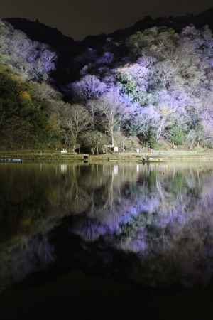 京都嵐山花灯路2014-2