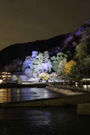 京都嵐山花灯路2014-7