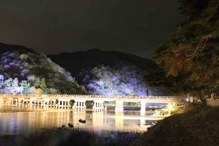 京都嵐山花灯路2014-11