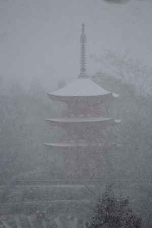 元旦の清水寺