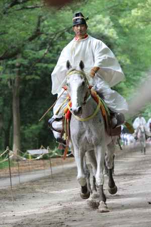 葵祭　下鴨神社糺の森