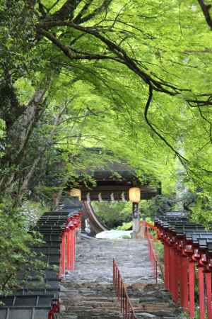 貴船神社