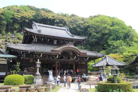 三室戸寺の新緑