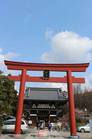 梅宮大社の鳥居