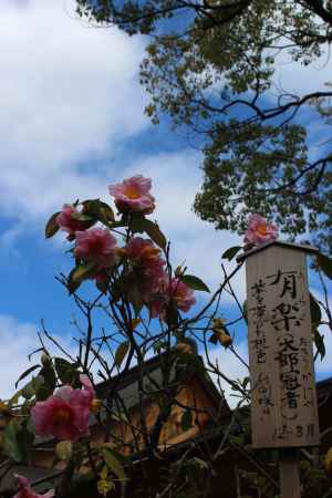 城南宮　有楽（太郎冠者）