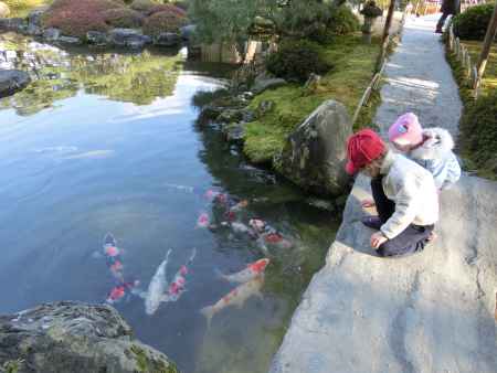 城南宮　庭園