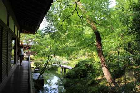 青蓮院　庭園