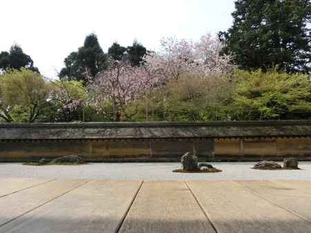 龍安寺石庭