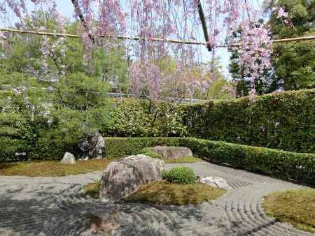 妙心寺　退蔵院庭園