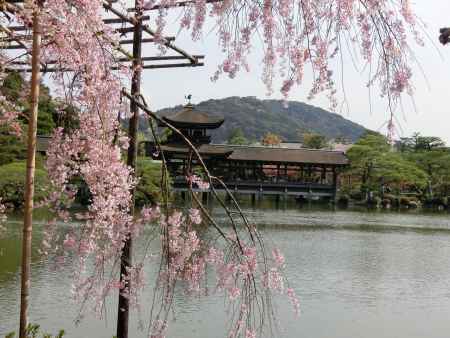 平安神宮神苑