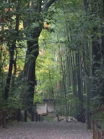 地蔵院