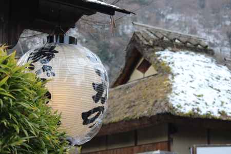 嵯峨野　湯とうふ