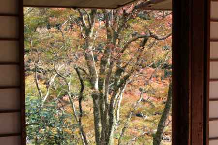 紅葉の高雄　高山寺　石水院