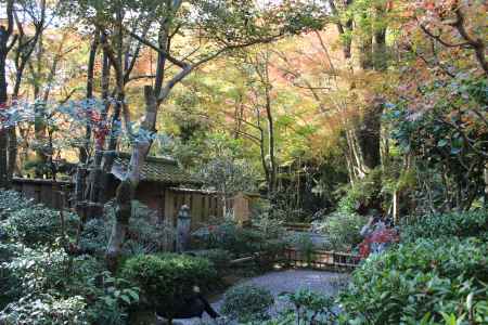 紅葉の高雄　高山寺　石水院5