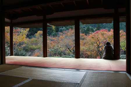 紅葉の高雄　高山寺　石水院7