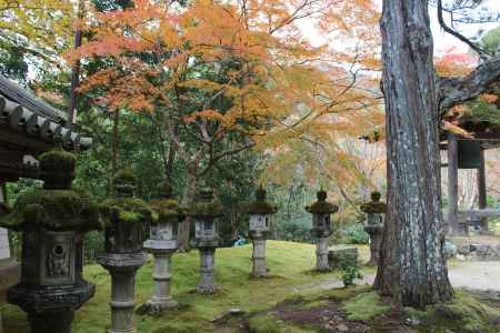 紅葉の高雄　西明寺