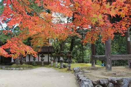 紅葉の高雄　西明寺3