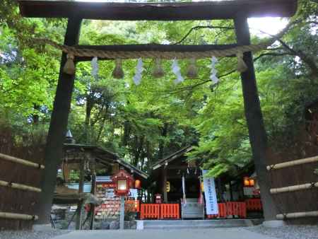 野宮神社 黒木鳥居