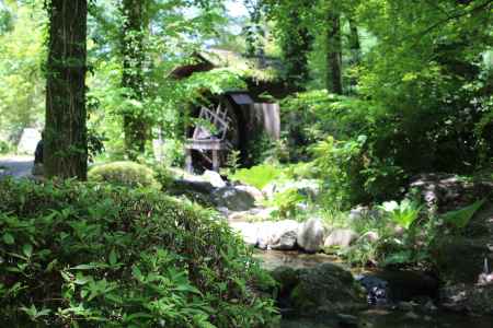 京都府立植物園