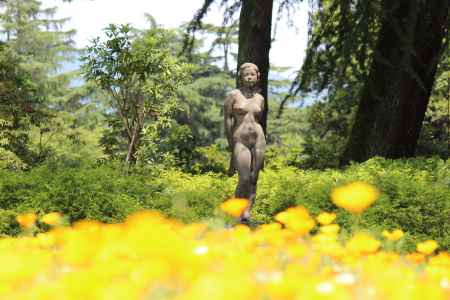 京都府立植物園5