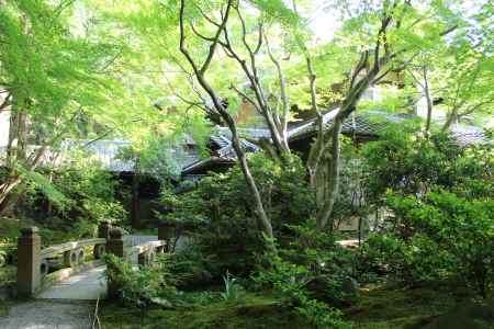 瑠璃光院　緑に包まれる