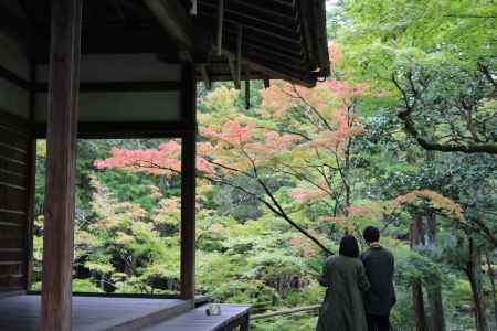 西芳寺庭園