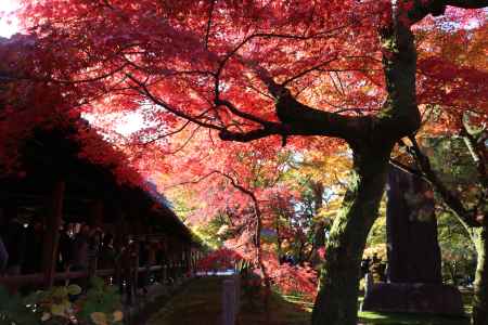 東福寺