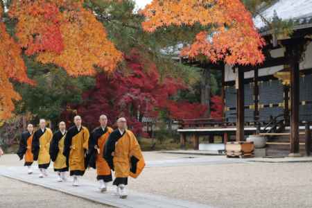 仁和寺の紅葉