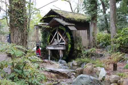 京都府立植物園の水車