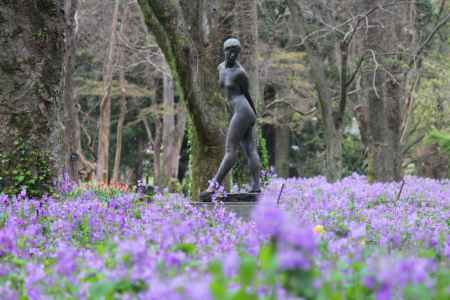 京都府立植物園春の花とブロンズ像