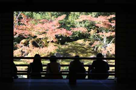 天龍寺　曹源池庭園6