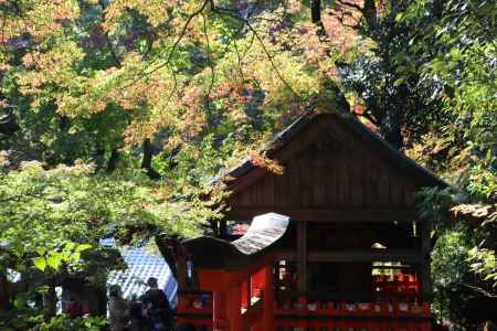 柳谷観音寺　紅葉