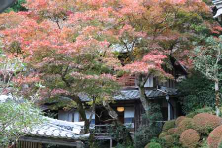 柳谷観音寺　上書院4