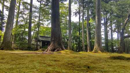 大原三千院