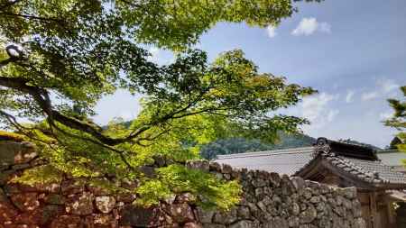 大原三千院参道