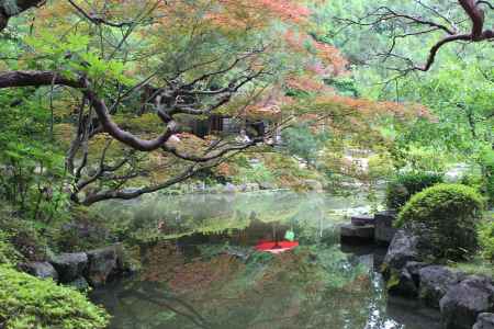 平安神宮　神苑　