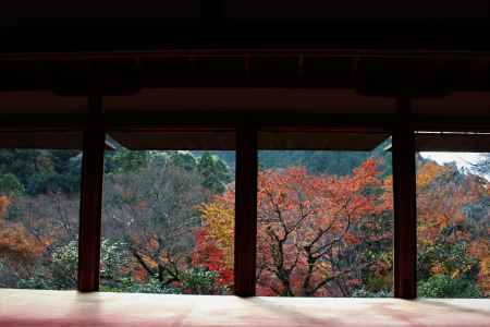 高山寺　石水院の紅葉3