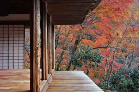 高山寺　石水院の紅葉5