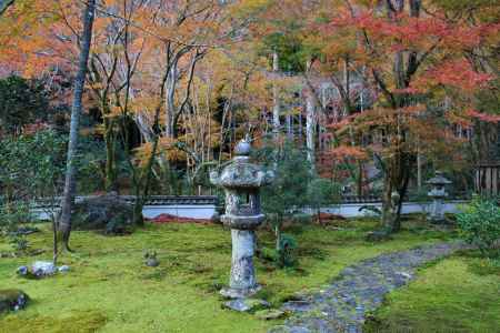 高山寺　石水院の紅葉6