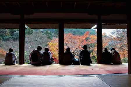 高山寺　石水院の紅葉とひなたぼっこ