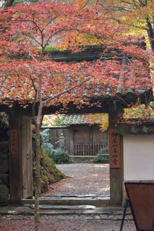 高山寺　石水院の紅葉9