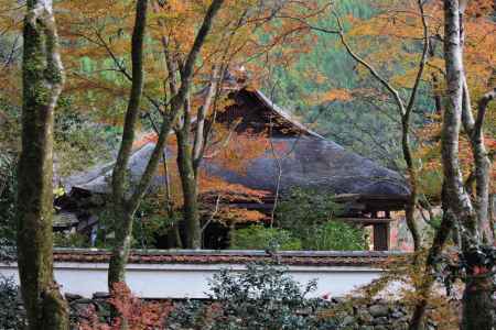 高山寺　石水院の紅葉10