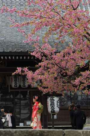 虚空蔵法輪寺　十三参り