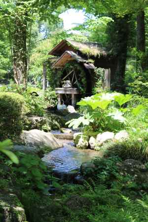 京都府立植物園　森の水車小屋