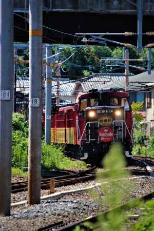嵯峨野観光鉄道　トロッコ列車