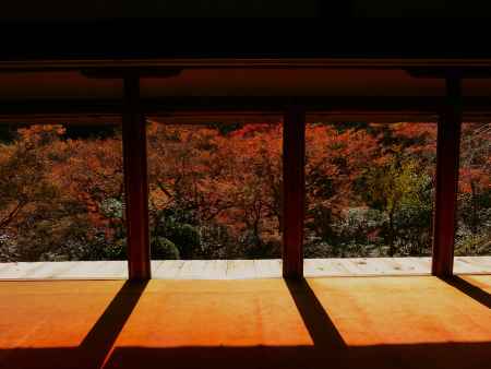 高山寺　石水院の紅葉2