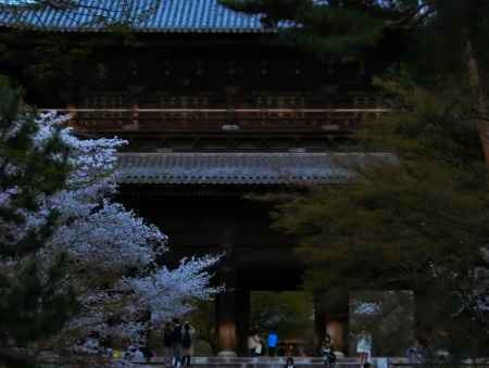 南禅寺の桜4