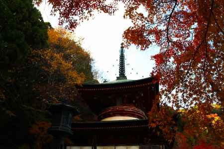 虚空蔵法輪寺　紅葉